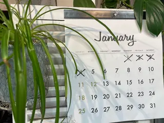 マツエク・マツパ さろんどふじた甲子園所属・江嵜 真由美 甲子園のマツエク・マツパデザイン