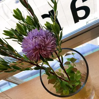 マツエク・マツパ なかむら 🪡のマツエク・マツパデザイン