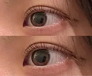 マツエク・マツパ PLUME🕊 yuunaのマツエク・マツパデザイン