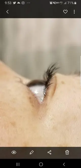 マツエク・マツパ CHAM 　y's salonのマツエク・マツパデザイン