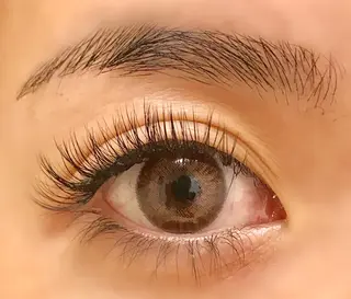 マツエク・マツパ Royal eyelashのマツエク・マツパデザイン