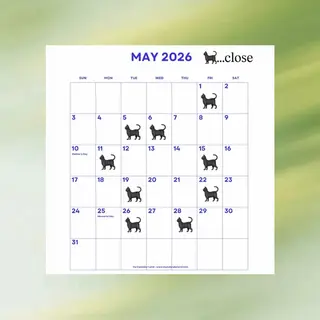 アイブロウ まつ毛・まゆげ専門店 ☘️sakiのマツエク・マツパデザイン