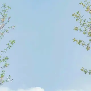 マツエク・マツパ マツパ🦋 keikoのマツエク・マツパデザイン