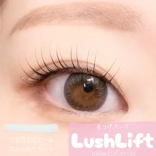 マツエク・マツパ 【ダメージケア特化】 🌸 サクララッシュの眉毛・アイブロウイメージ