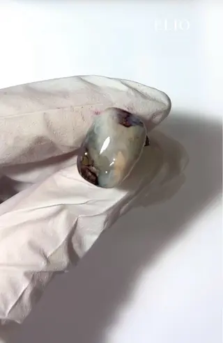ネイル Elio 国泰寺のネイルデザイン
