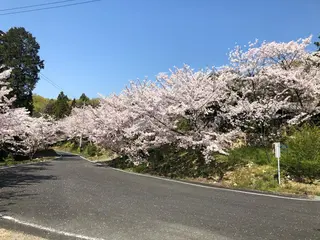 カラー 雪上 章のヘアスタイル