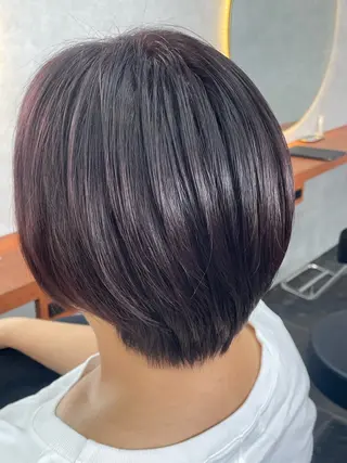 ショート 佐藤 菜穂のヘアスタイル