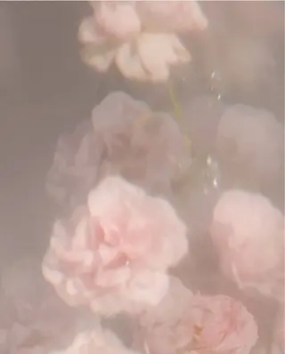 ♡ 𝑹𝒊𝒏𝒂のネイルデザイン