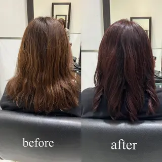 セミロング カラー 大人デザイン 🍃MORIKA🍃のヘアスタイル