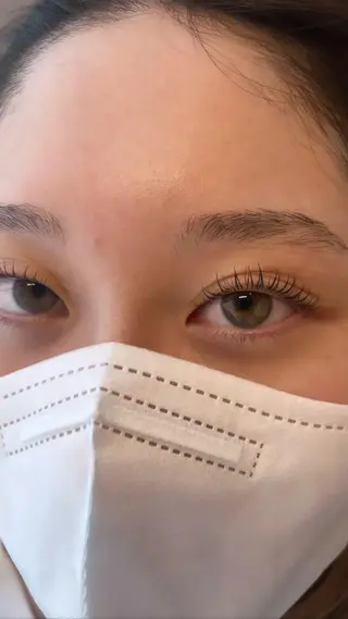 マツエク・マツパ 木6 -キロク-🍀 辻彩花のマツエク・マツパデザイン