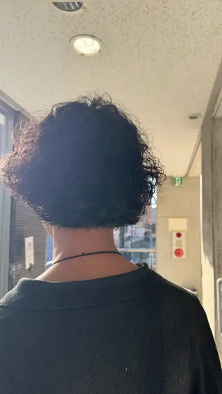 パーマ メンズ 椎葉 祐也のヘアスタイル