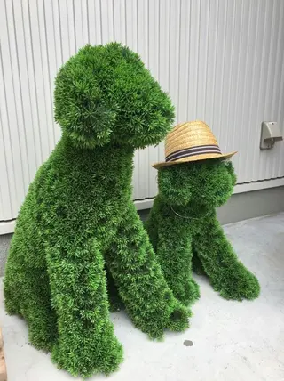 黒坂 リカのその他イメージ