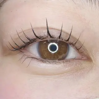 マツエク・マツパ 口コミ高評価⚡️ Wahf/Sotaのマツエク・マツパデザイン