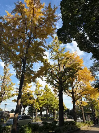 Yu-ka🌼*･ カラー縮毛矯正❣️のヘアスタイル