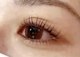 マツエク・マツパ 🧸Celeste Venusのマツエク・マツパデザイン