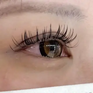 マツエク・マツパ 🧸Celeste Venusのマツエク・マツパデザイン