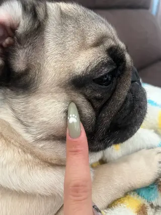 ネイル nail salon noaのネイルデザイン