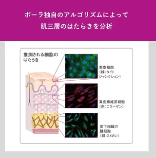 POLA 新瀬戸店のエステ・リラクイメージ