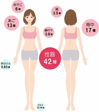 yomo me! ヨモミーのエステ・リラクイメージ