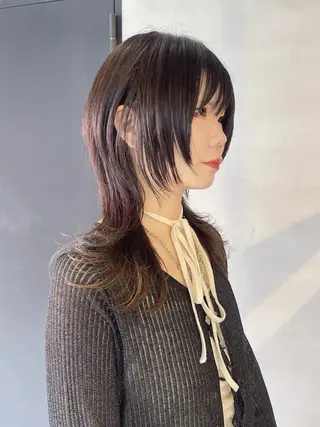 セミロング 柏 ウルフ/レイヤー 田中佐和🐺のヘアスタイル