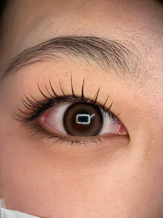 マツエク・マツパ Lushana 眉毛/まつ毛の眉毛・アイブロウイメージ