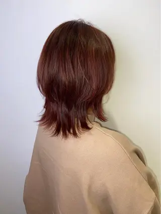 ミディアム カラー 🐺ウルフ/レイヤー 似合わせ‎🤍沙羅のヘアスタイル