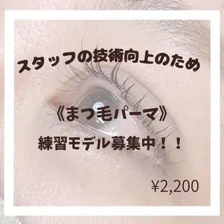 マツエク・マツパ Momonails Shoのマツエク・マツパデザイン