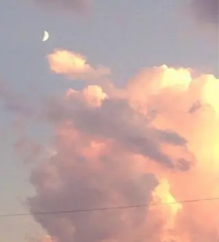 otsurunail (オツルネイル)のネイルデザイン