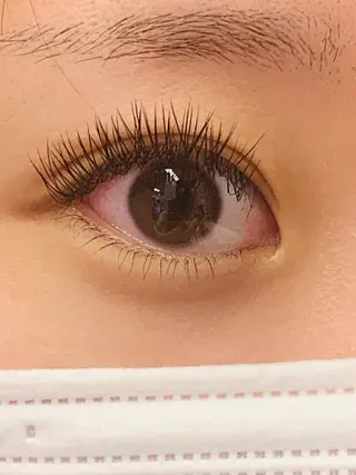 マツエク・マツパ apricott eyeのマツエク・マツパデザイン