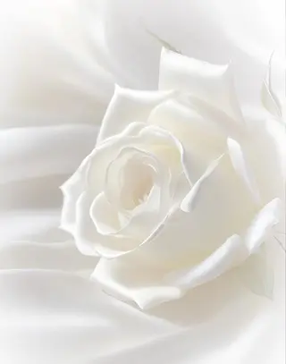 マツエク・マツパ Hera …のマツエク・マツパデザイン