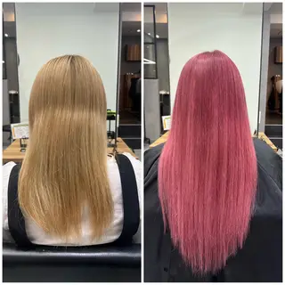 ロング カラー ショート/ウルフ カットモデル募集のヘアスタイル