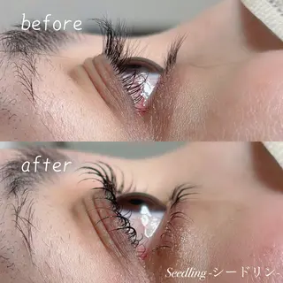 マツエク・マツパ シードリン 府内店 小野梨央のマツエク・マツパデザイン