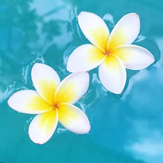 マツエク・マツパ MISUZU 🌞のその他イメージ
