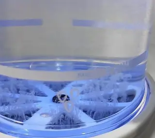 Brightブライト (エステ.リラク)のエステ・リラクイメージ