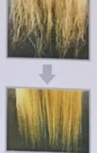 セシルヘアー masayoのヘアスタイル