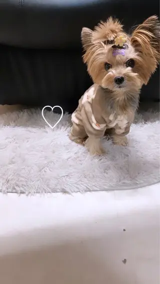 ネイル Legit nail salonのネイルデザイン