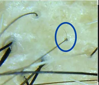 セントラル鍼灸院 Re:laxyのヘアスタイル