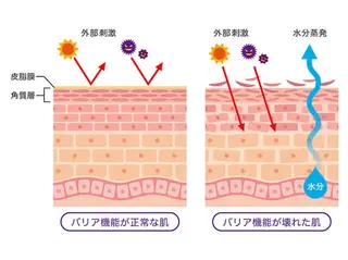 韓国肌管理 【毛穴専科】のエステ・リラクイメージ