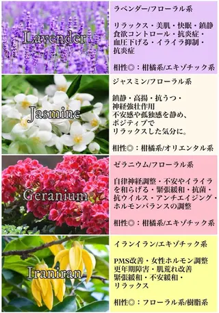 伊藤 きららのエステ・リラクイメージ