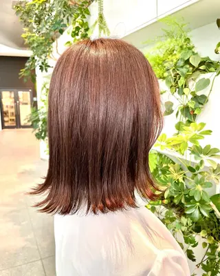 カラー 安保航太 /韓国風レイヤーのヘアスタイル