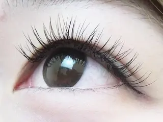 マツエク・マツパ アイブロウ/まつぱ T-lash恵比寿店のマツエク・マツパデザイン