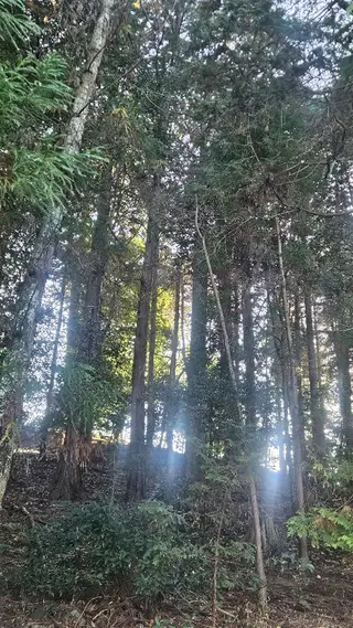 3EYE 天王寺店所属・K.mai╱ 3EYE天王寺店のエステ・リラクイメージ