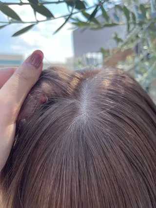 セミロング 梶原 真帆のヘアスタイル