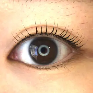 マツエク・マツパ メゾンドシャルム NISHIKAWAのマツエク・マツパデザイン