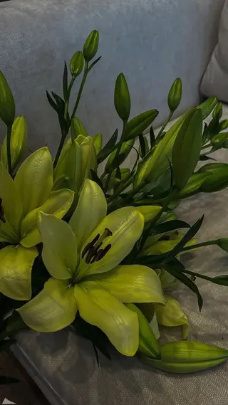 マツエク・マツパ eclat .Kanaのエステ・リラクイメージ