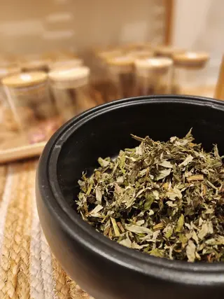 u-LALA  よもぎ蒸しサロンのエステ・リラクイメージ