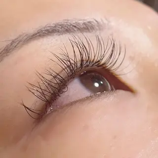 マツエク・マツパ 🌟杉枝 佑夏🌟のマツエク・マツパデザイン