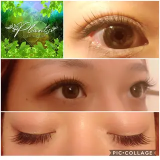 マツエク・マツパ Plants　斧田 ひろみのマツエク・マツパデザイン