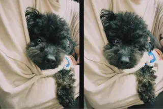 ショート カラー パーマ ヘアアレンジ メンズ CHIC share salon所属・ちこ .のヘアスタイル