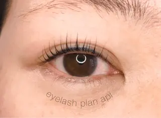 マツエク・マツパ 《eyelash ｉｉｔｅ》森のマツエク・マツパデザイン